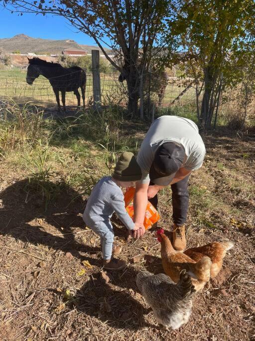 Toquerville Copper Creek Farmヴィラ エクステリア 写真