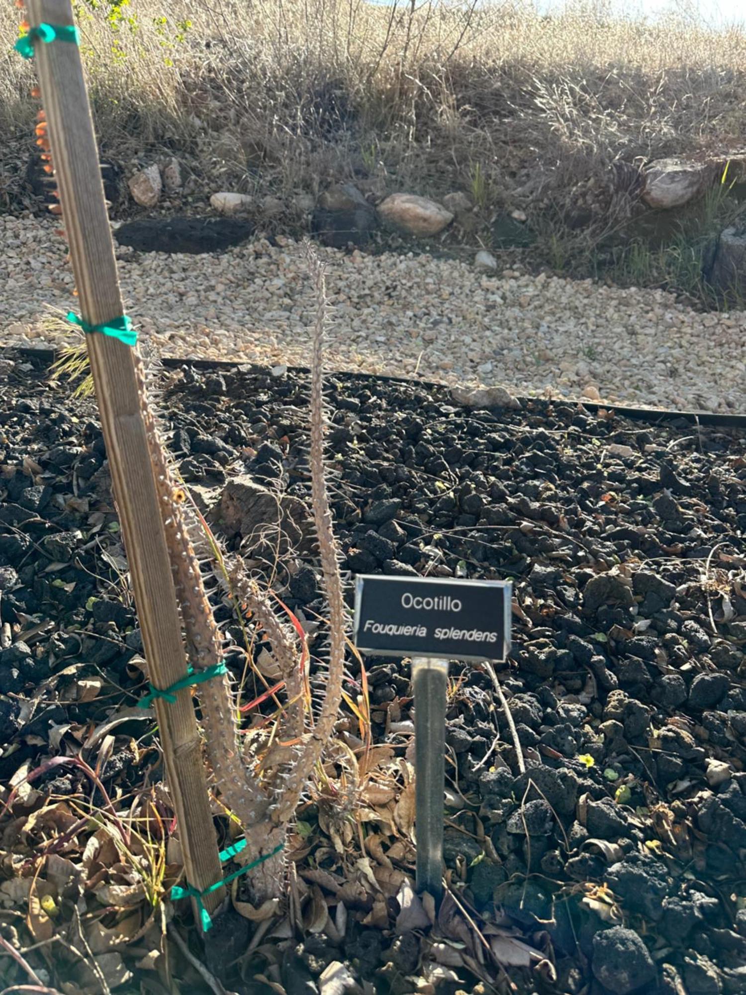 Toquerville Copper Creek Farmヴィラ エクステリア 写真